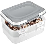 com-four® Partycontainer mit 2 Etagen und Hebeeinsatz - Kuchen Transportbox für Lebensmittel - Kuchencontainer mit Tragegriff - hellgrau pastell (01 Stück - Container hellgrau)