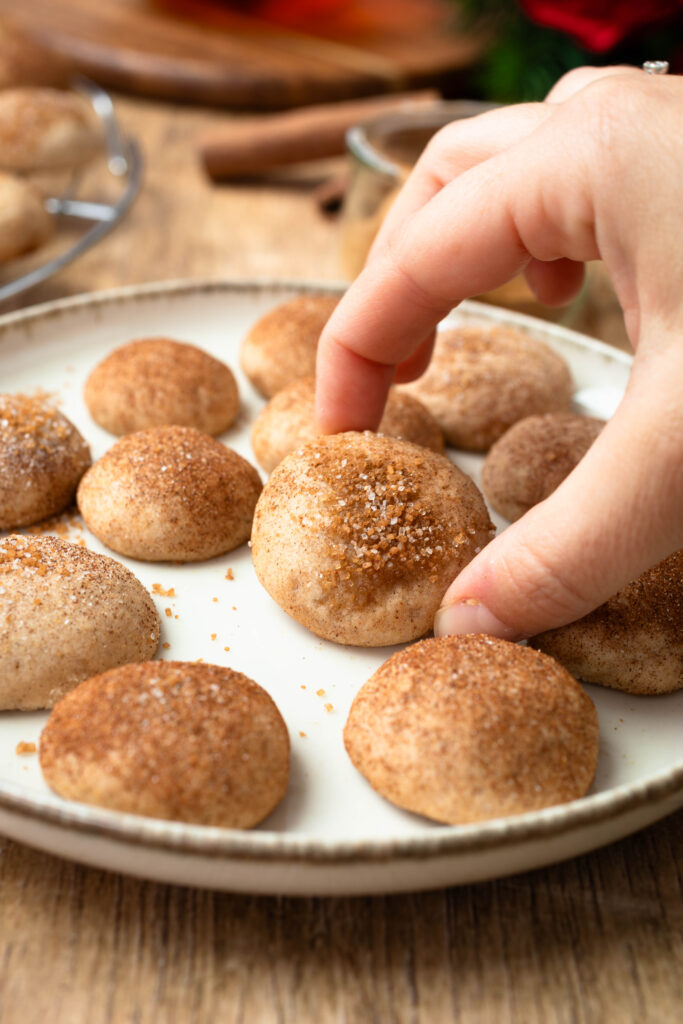 Gewürzplätzchen nah